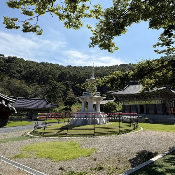 수목장, 장례시설 홈페이지